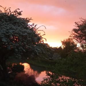 Winter Solstice