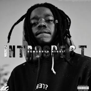 INTROSPECT (Explicit)