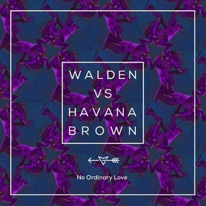 No Ordinary Love (Walden Festival Mix)