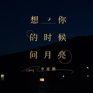 想你的时候问月亮