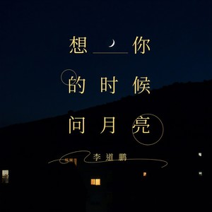 想你的时候问月亮