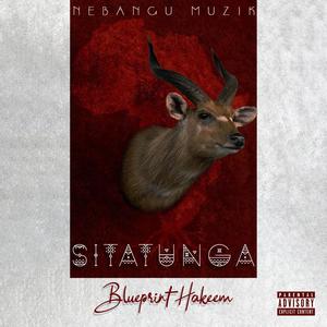 Sitatunga (feat. Azingeh, Young Fame & Wan Shey)
