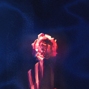 lost notes (slowed & reverb)