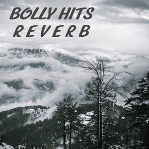 Bolly Hits Reverb