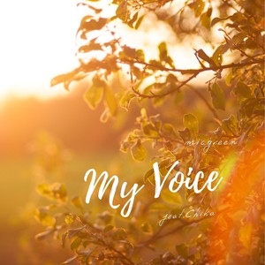 My Voice