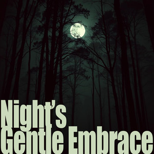 Night’s Gentle Embrace