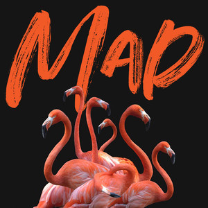 MAD (Sandy Groove Remix - Edit)