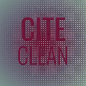 Cite Clean
