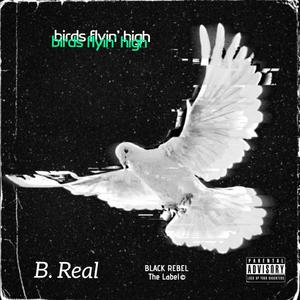 Birds Flyin' High (freestyle) (Explicit)