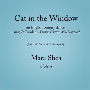 Cat in the Window