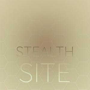 Stealth Site