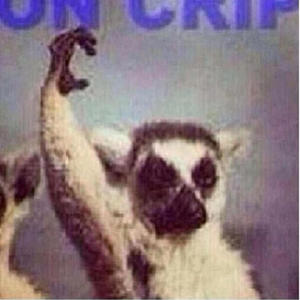 Real recognize real (Explicit)