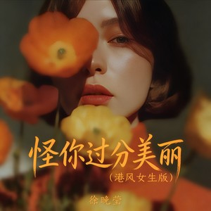 怪你过分美丽 (港风女生版)封面