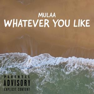 Whatever you like (Explicit)