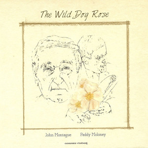 The Wild Dog Rose