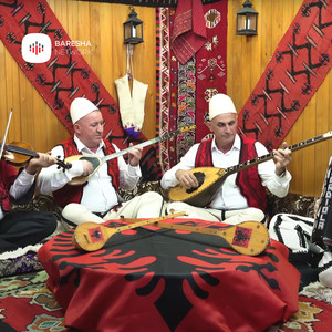 Ali Pasha Pashaj i Vogel