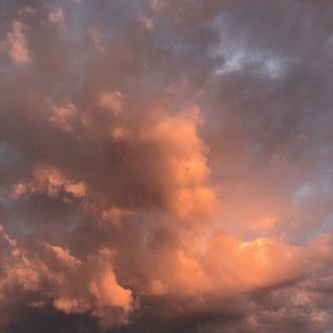 You will never ever know