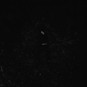 AME ARTIFICIELLE (Explicit)