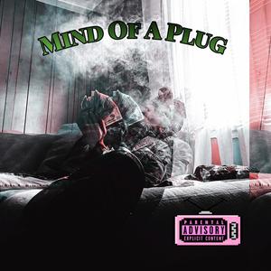 Mind Of a Plug (Explicit)