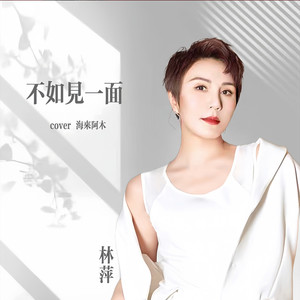 不如见一面-林萍