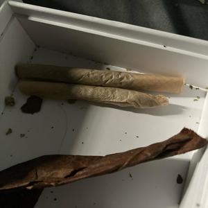 SheLoveMeSheLoveMeNot? (Explicit)