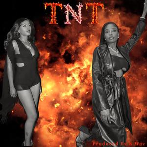 T N T (feat. Successful Toy) [Explicit]