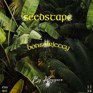 Seedstape (Explicit)