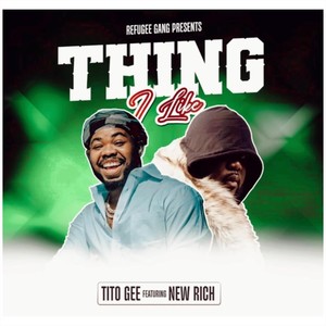 Thing I Like (feat. New Rich) [Explicit]