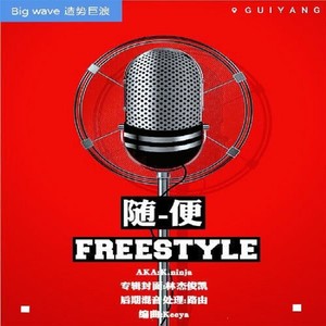 随便freestyle - K.ninja封面