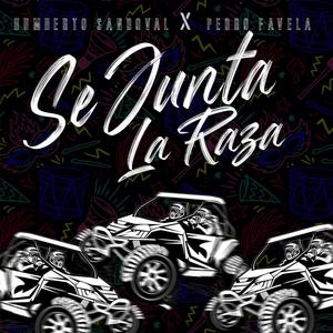 Se Junta la Raza (feat. Pedro Favela)