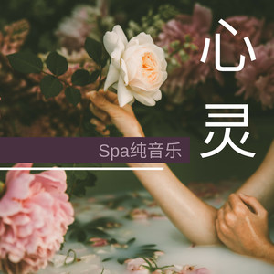 心灵Spa纯音乐 - 纯音乐和水声为了按摩，冥想，瑜伽和休息