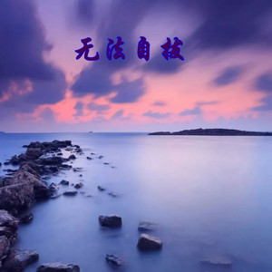 我总想找个理由 回到相遇的前头 (DJ版)