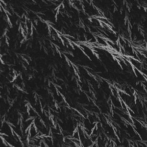 2480abv(feat. Nishi) (Explicit)