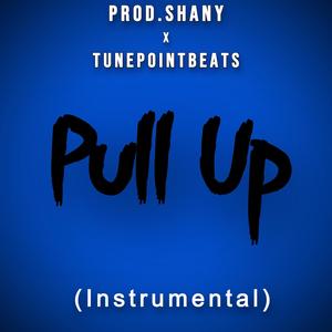 Pull Up (Instrumental) (feat. Tunepointbeats)