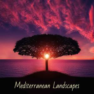 Mediterranean Landscapes