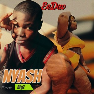 Nyash (Explicit)