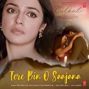 Tere Bin O Saajana From