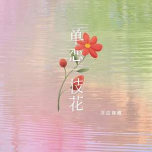 单恋一枝花 (女生柔情版)