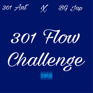 301 Flow (Explicit)