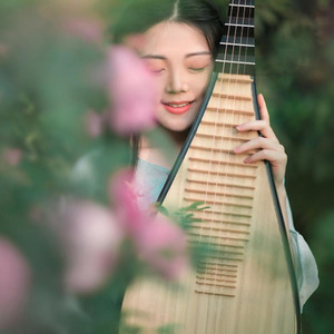 【琵琶】今后我与自己流浪-乐落清音