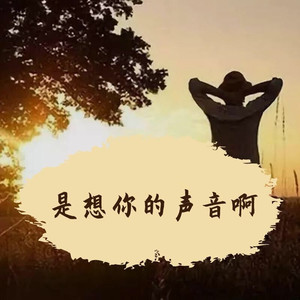 C调 - 是想你的声音啊