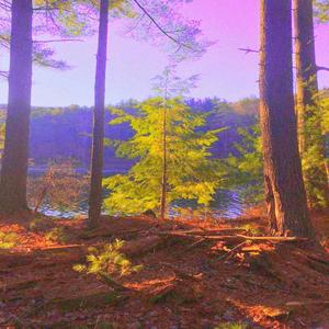 SANAUSA SKIES (feat. DXNTSTARTUP)