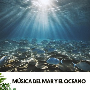 Música del Mar y el Oceano: Melodías de las Profundidades