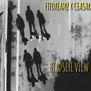 Birds Eye View (feat. BLACC CAESAR) (Explicit)