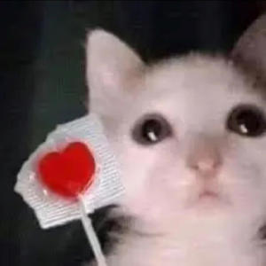 CURTIENDO EL MAMBO (Explicit)