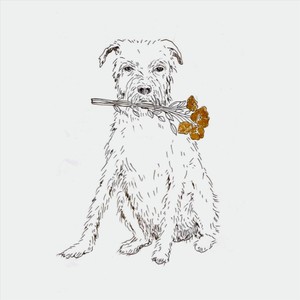 The Elephant in the Room