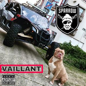 Vaillant (Explicit)