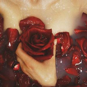 i wish you roses - slowed + reverb