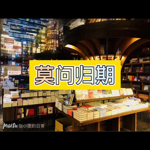 未来日记 (游戏版)