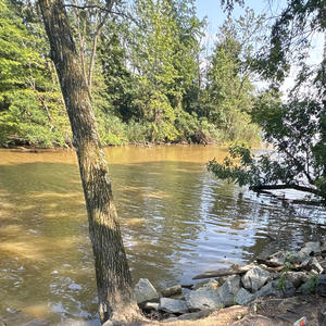 from the bottom (feat. zeke) (Explicit)